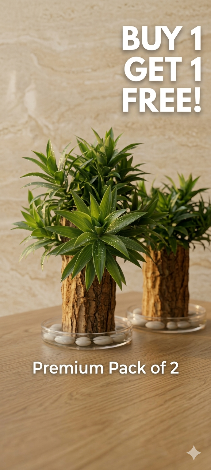 Premium Brazilian Lucky Wood: Zen Decor & Fortune (BUY 1 GET 1 FREE)✨